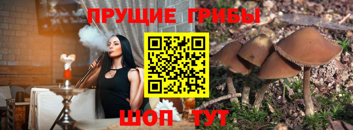 Псилоцибиновые грибы GOLDEN TEACHER  Вход с VPN  Кумертау 