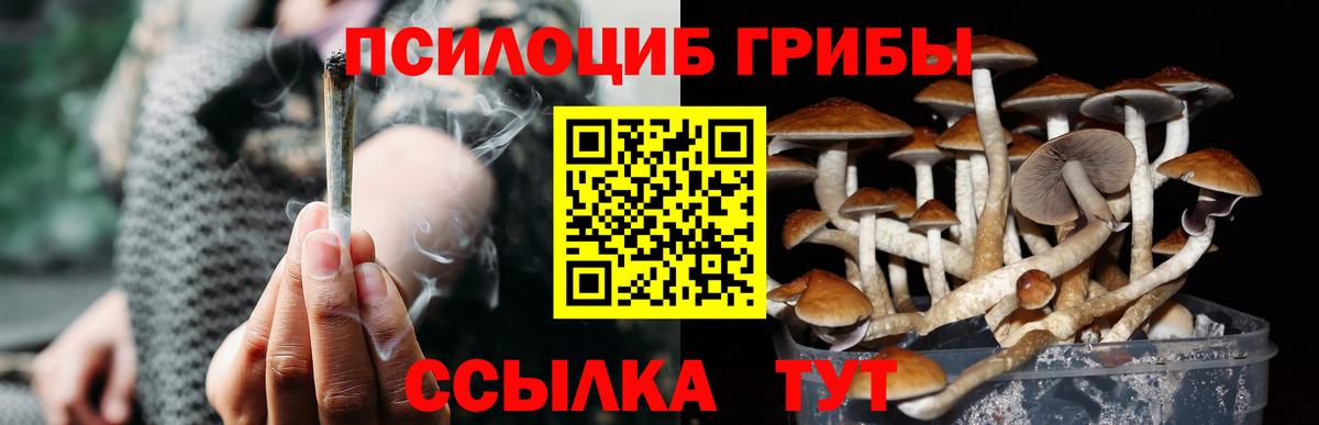 Псилоцибиновые грибы мицелий Кумертау